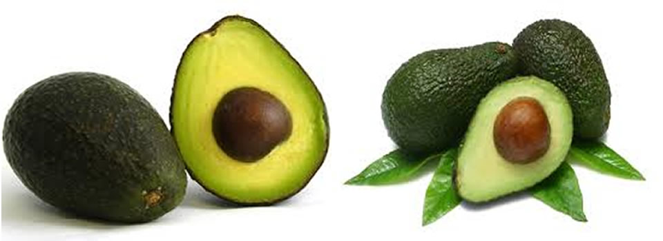 advocado