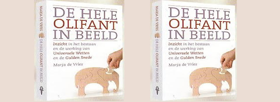 de hele olifant