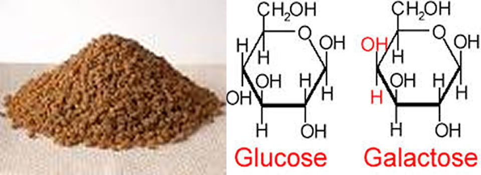 galactose