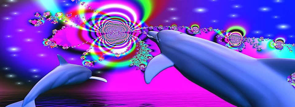 kleuren dolfijnen