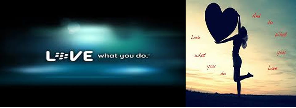 love what you do