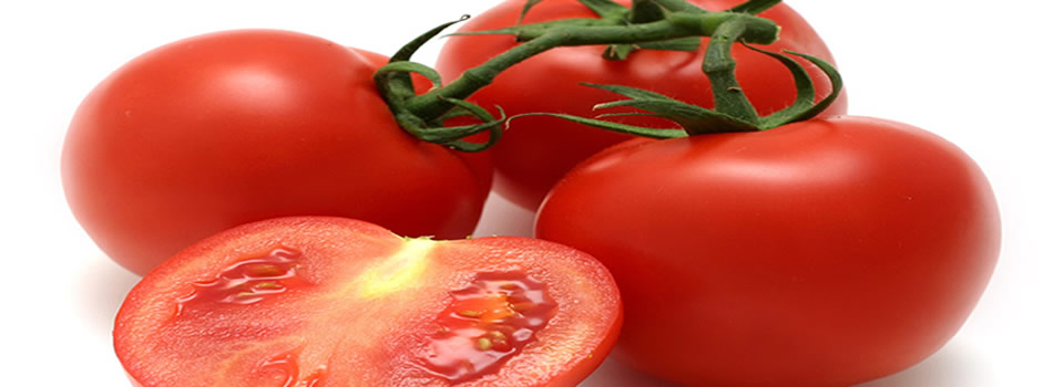 tomaten