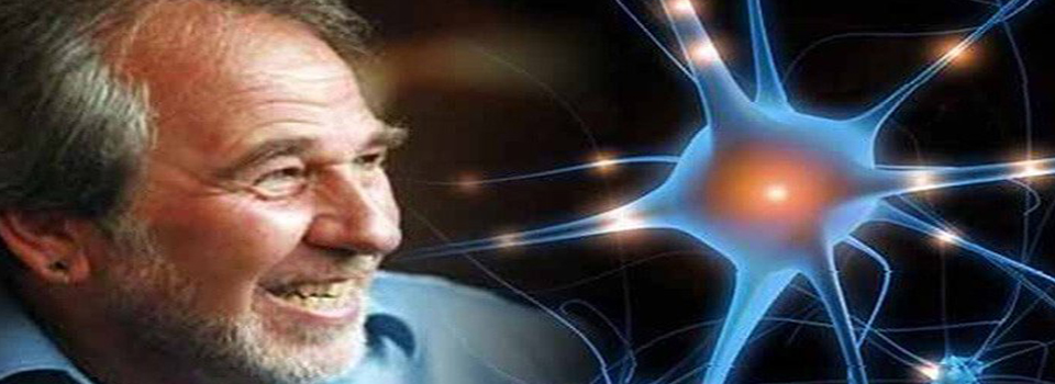 bruce lipton