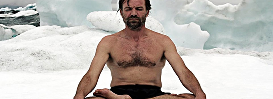 wim hof